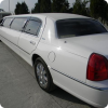 Luxurious limousine in combination with hot stripper, what's better? 